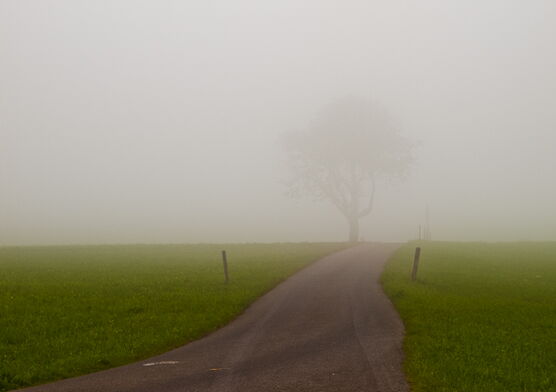 Nebel
