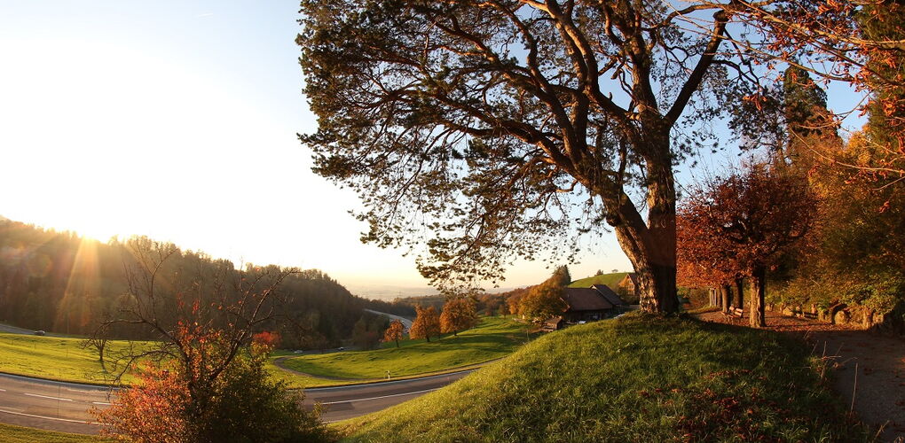 Den Herbst im Lassalle-Haus erleben