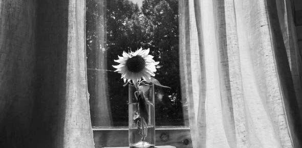 Ausstellung des Künstlers Szaladják TAIKYO István, 8.11.2020 – 28.2.2021